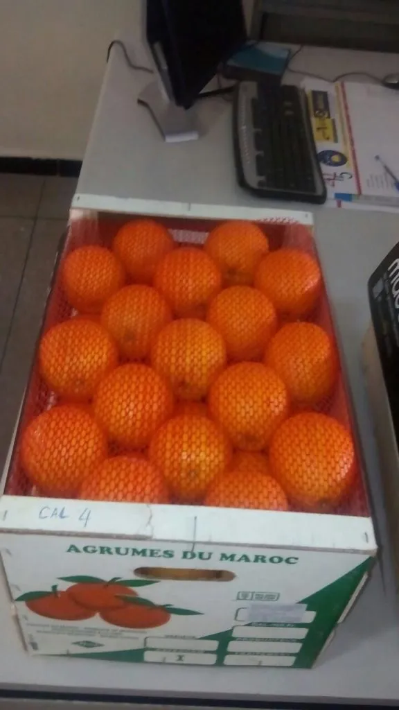 Фотография продукта Апельсины мандарины